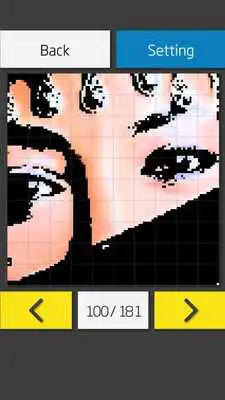Play Picross 20X20 [ Nonogram]